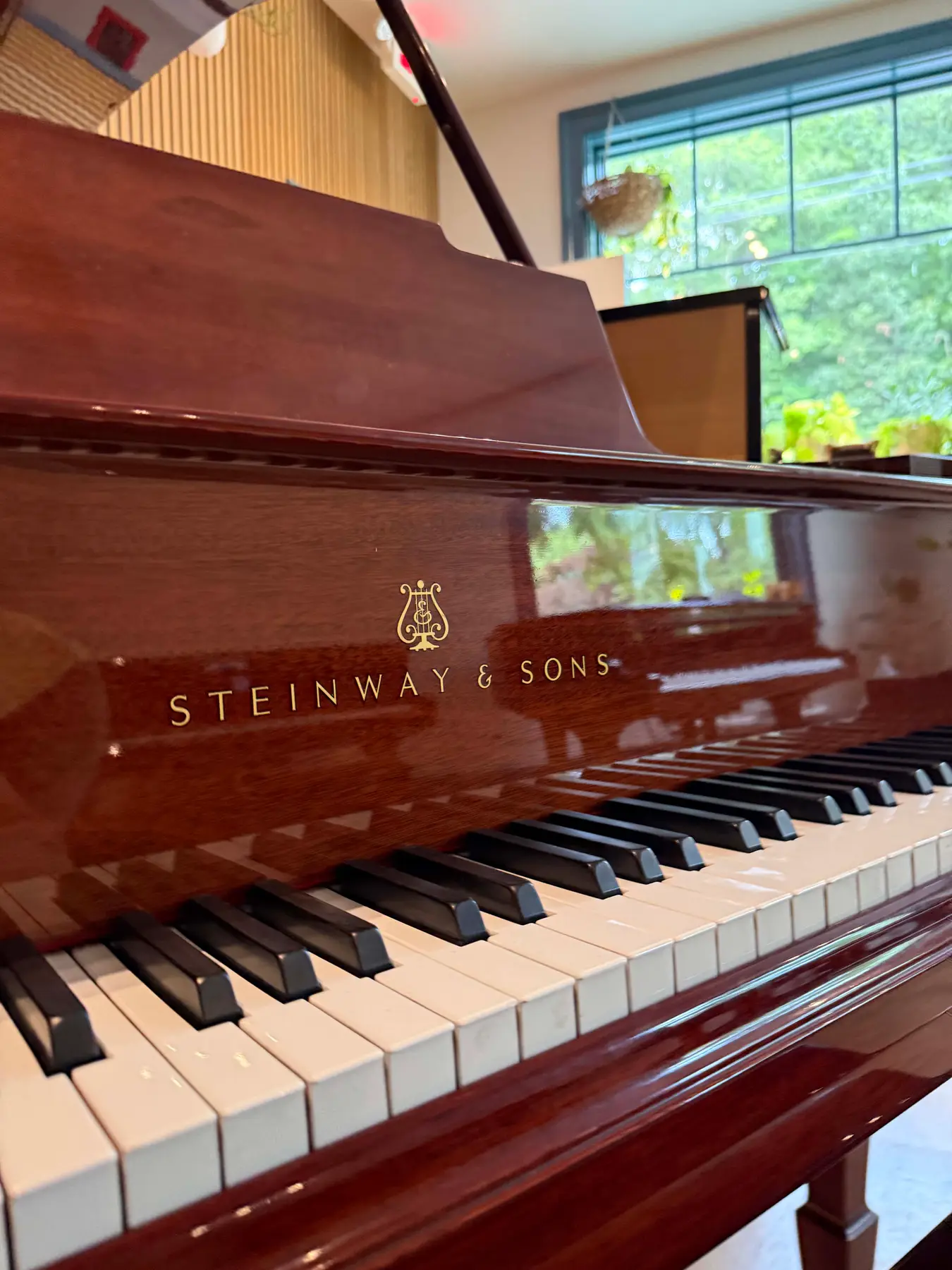 Fully Rebuild Steinway M Baby Grand