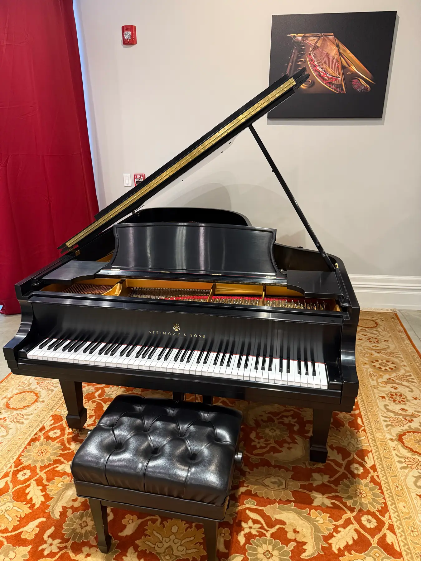 Steinway B