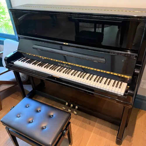 Schimmel T130