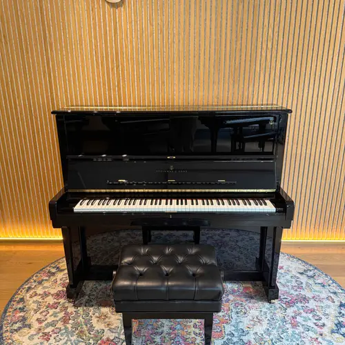 Hamburg Steinway K132