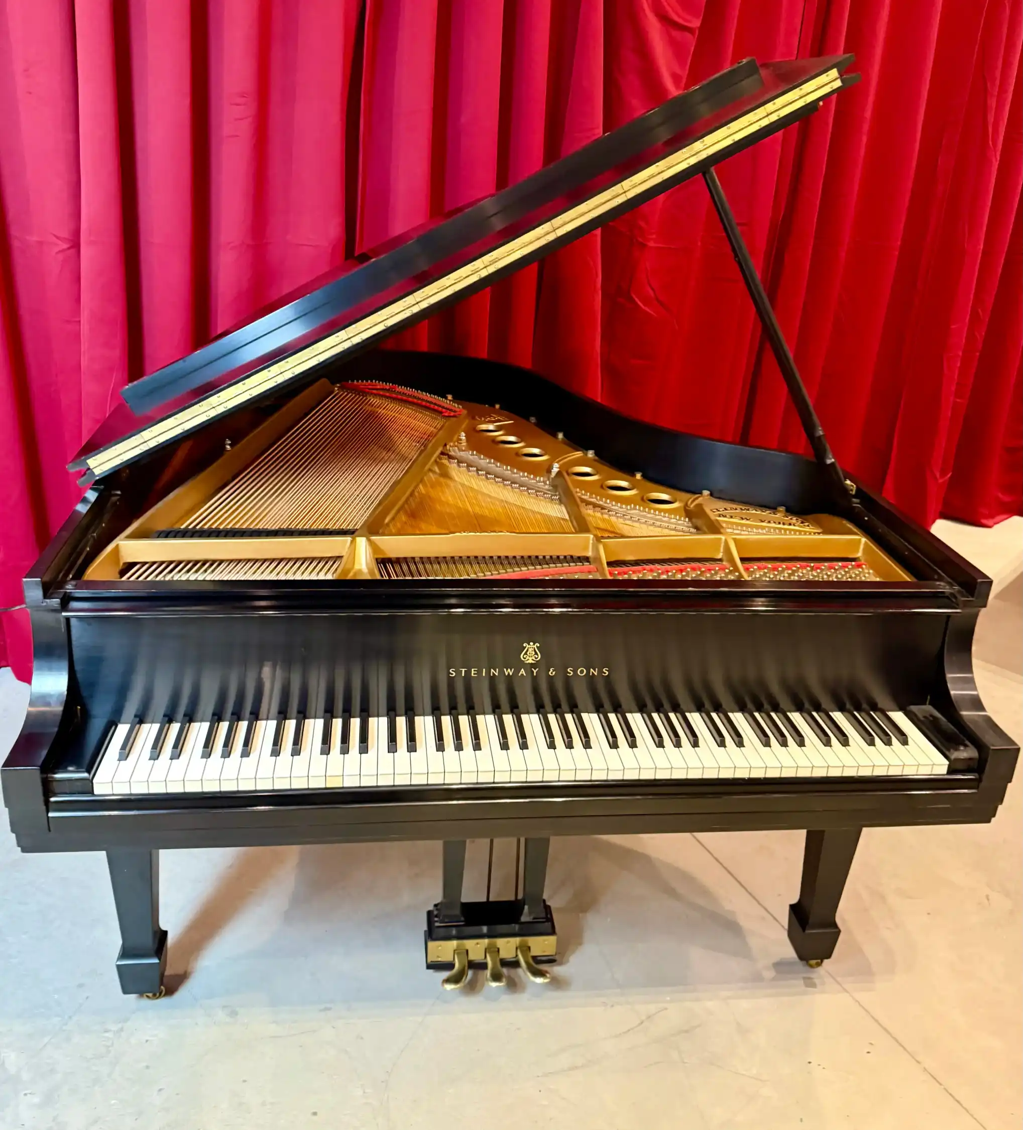 Ebony Steinway M