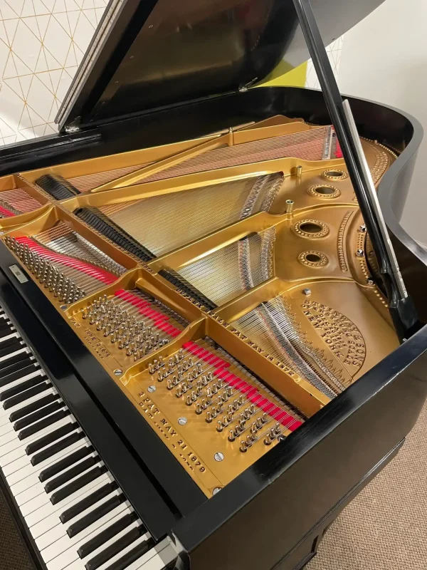 Steinway A2 1