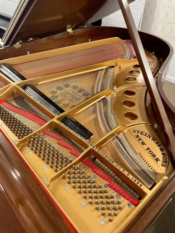 Steinway M 1