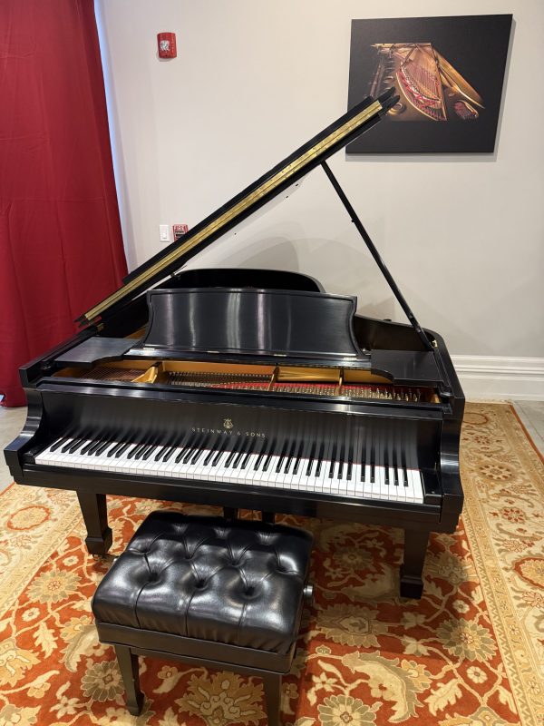 SteinwayB.2